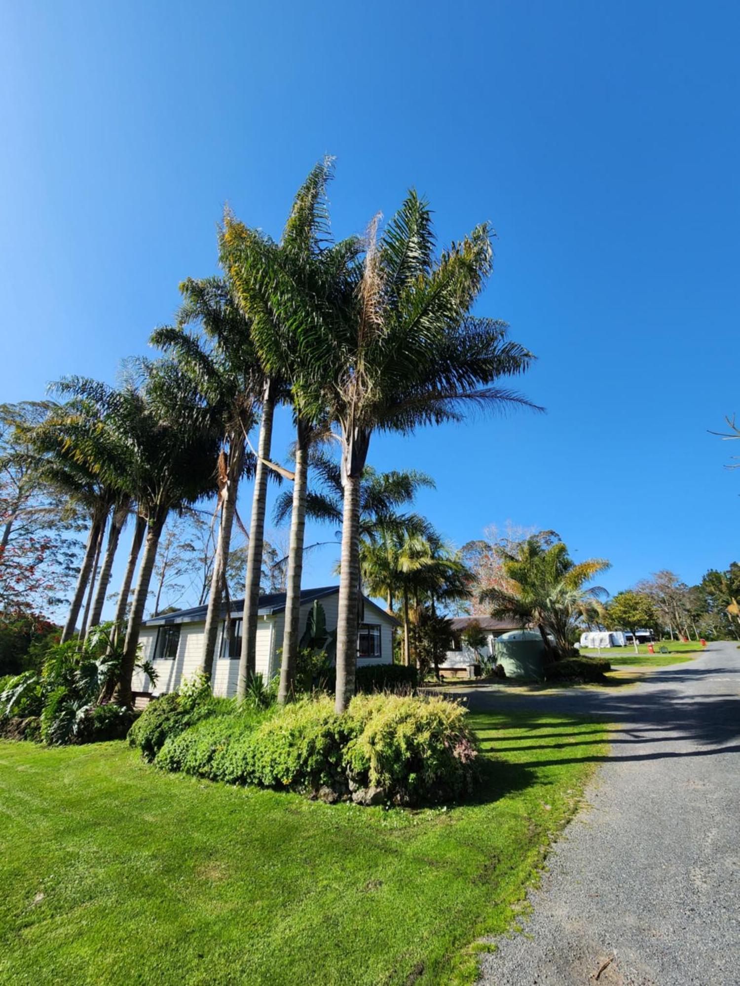 Bay Of Islands Holiday Park Paihia Luaran gambar
