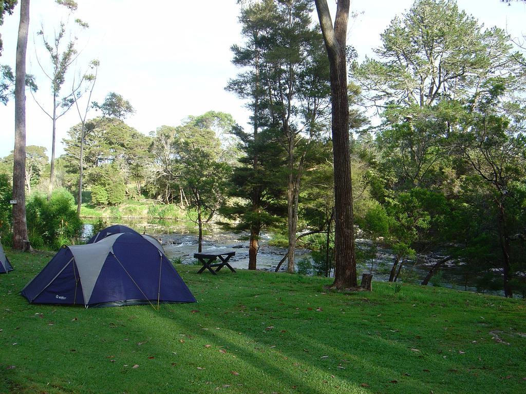 Bay Of Islands Holiday Park Paihia Luaran gambar